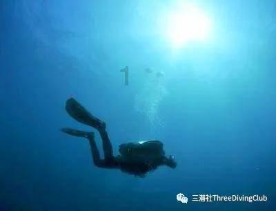犀牛森林大逃生