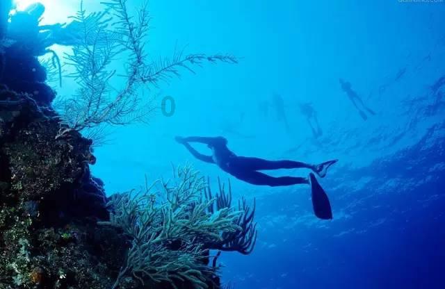 探索蜗牛世界,尽在苹果12和 13电池续航的实际使用差距大吗?蜗牛问答平台